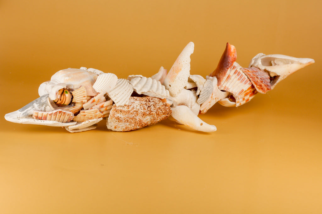Handmade Seashell Fish Sculpture (12”) – One-of-a-Kind Coastal Decor