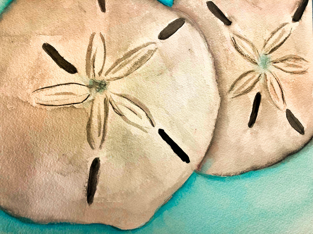 Sand Dollar Watercolor Print on Canvas - 12”x16”