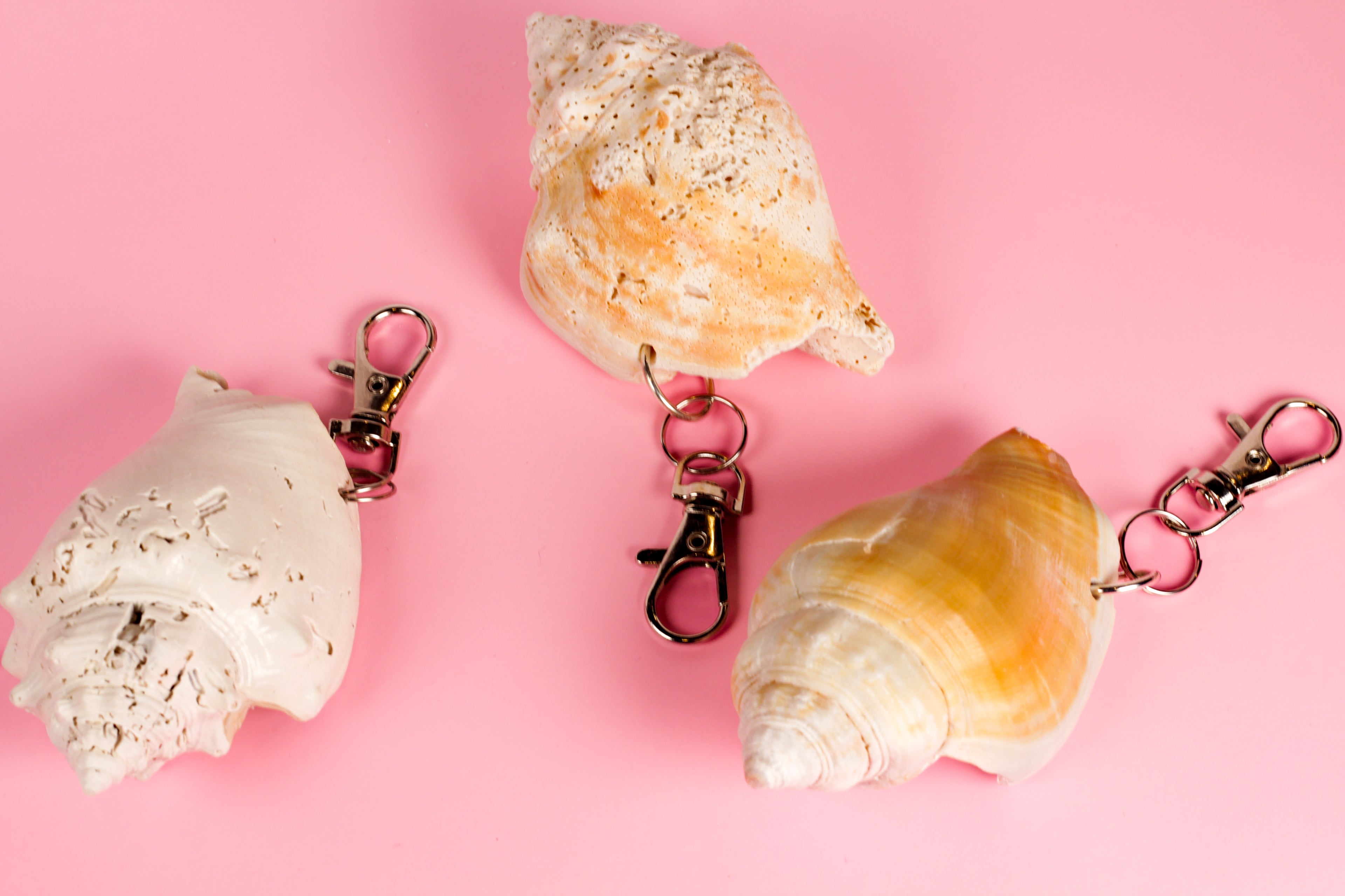 Shell Keychain